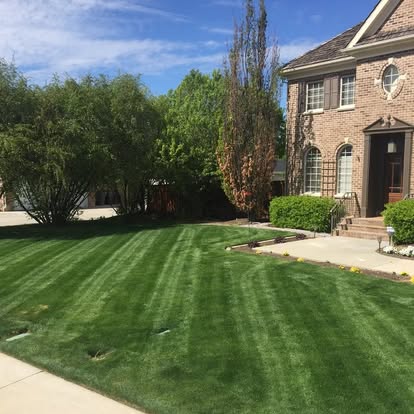 Fresh mowing stripes across a residential lawn