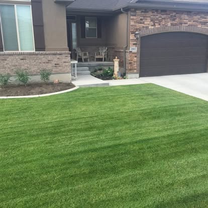 Happy Lawns lawn care photo 12: neatly cut residential grass