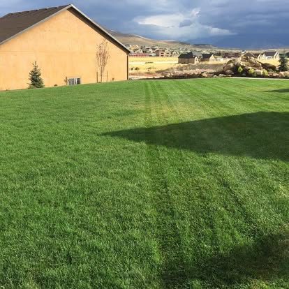 Lush green lawn cared for by Happy Lawns