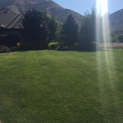 Happy Lawns lawn care photo 4: neatly cut residential grass