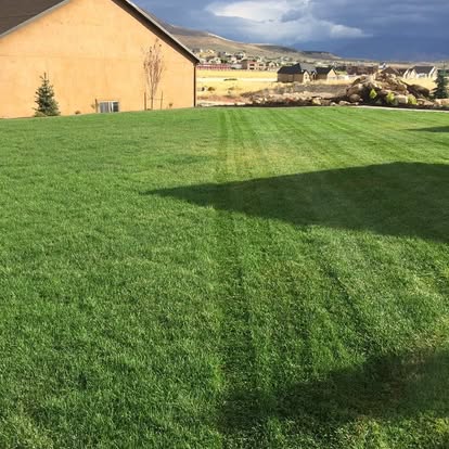 Happy Lawns lawn care photo 5: neatly cut residential grass