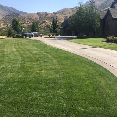 Happy Lawns lawn care photo 6: neatly cut residential grass