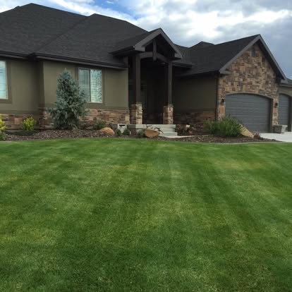Happy Lawns lawn care photo 7: neatly cut residential grass