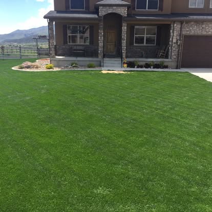 Happy Lawns lawn care photo 8: neatly cut residential grass