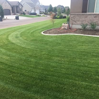 Curved mowing stripes on a Happy Lawns lawn