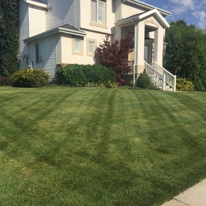Happy Lawns lawn care photo 10: neatly cut residential grass